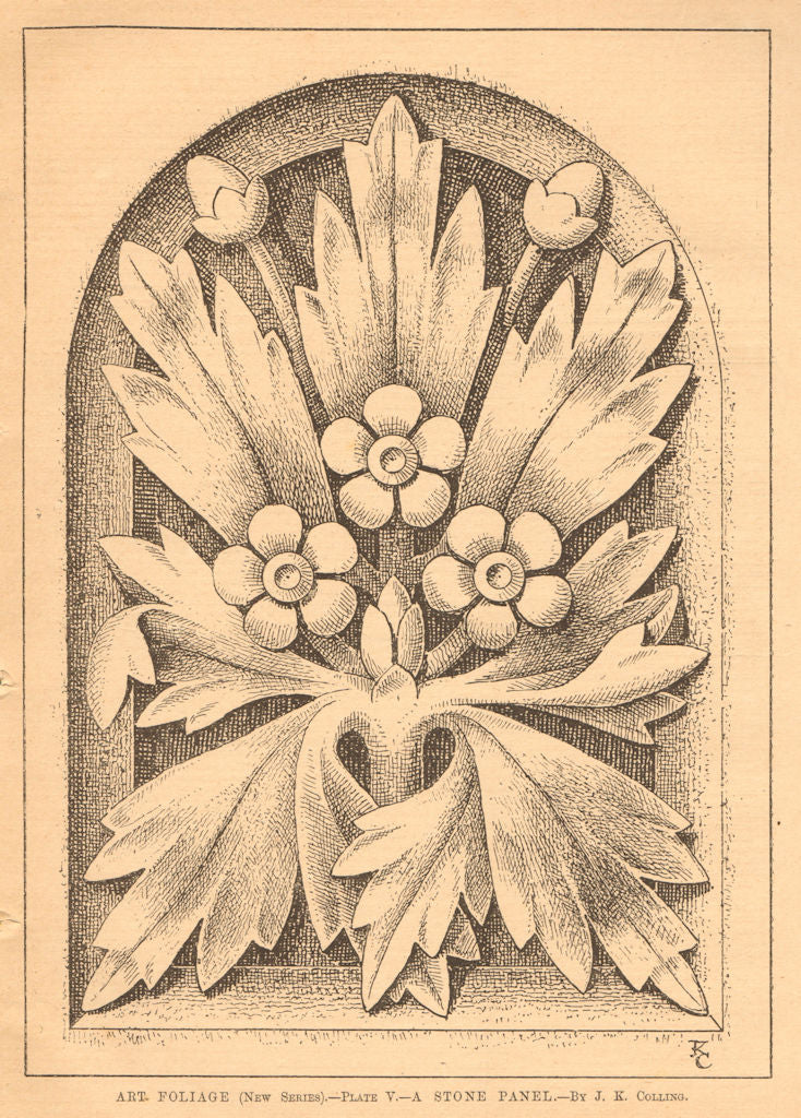 Art Foliage (New series) - Plate V - A stone panel - by J.K. Colling. 1901